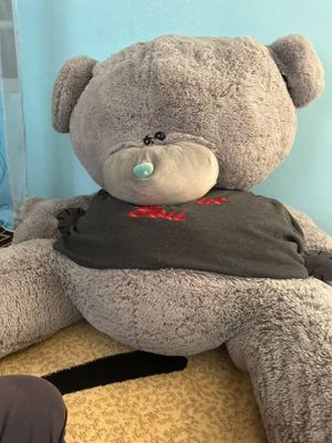 Teddy ayiq sotiladi
