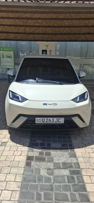 Byd seagull 2023