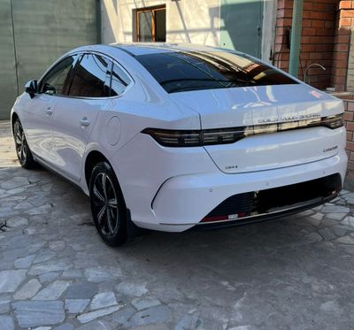 BYD Chazor 120 full