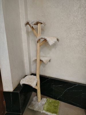 когтеточка