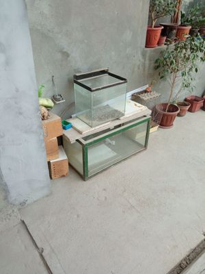 Продаются аквариумы