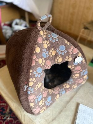 Mushukni domikii