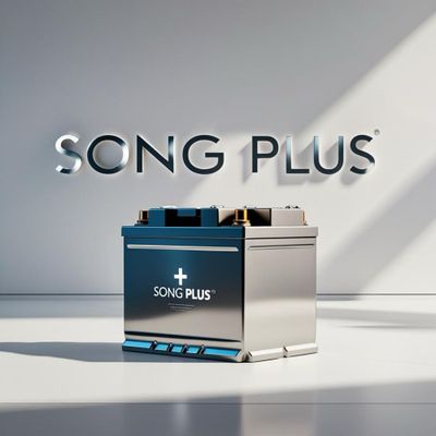Byd song plus akumlyator dastavka ustanovka 24/7