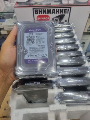 XARD HARD wd purple