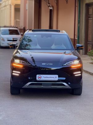 Byd chempion 520 kl