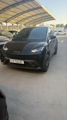 Arenda s vikupom BYD Seagull