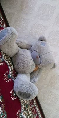 Katta Teddy ayiq