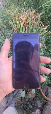 ayfon 7+ 128.98 arzon narxda manzil jizzax 500ming