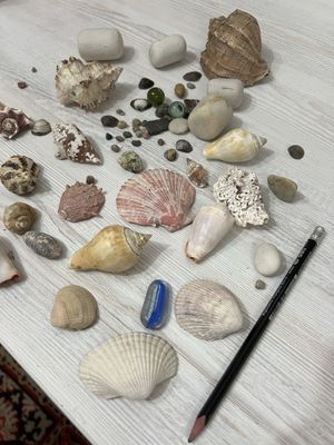 Ракушки и камни для аквариума цена за всё
