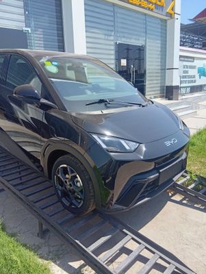 Byd seagul 401 km full