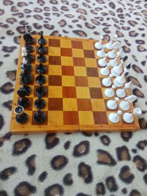 Шахматы СССР