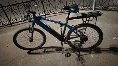Elektor veloseped