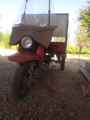 Muravey yahwi holatda