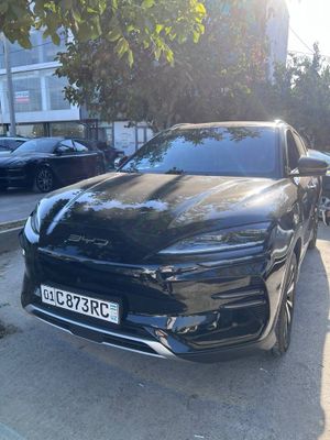 2024 Byd chempiom