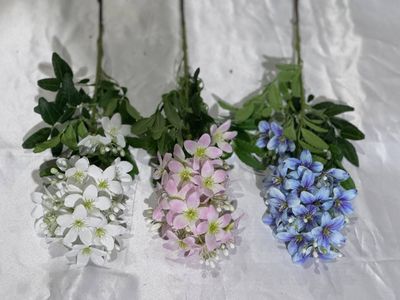 Подарочные продукты из первых рук 2025/26