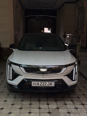Cadilac Optiq Long