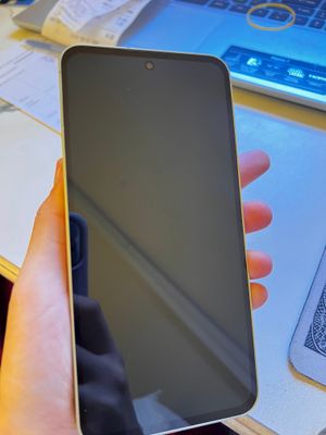 Samsung A55