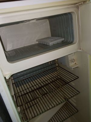 xolodennik