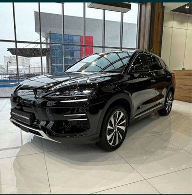 Byd chempion 605