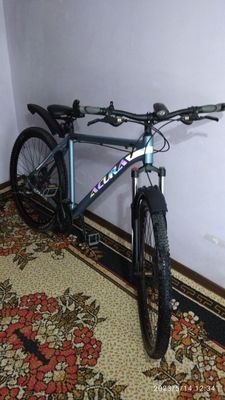 Velosiped acura 29