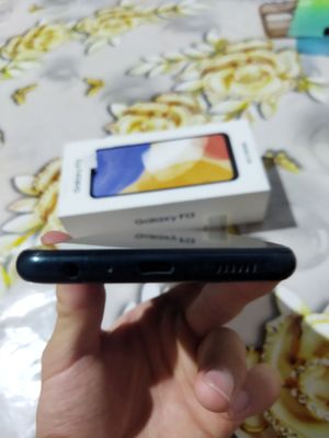 Samsung Galaxy F13