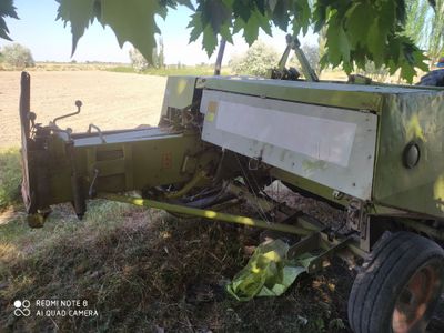 Klass markand 55 koreyiskiy ishchi xolatda