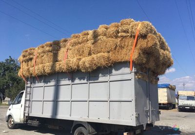 Самон прес сотилади