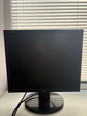 LG Flatron manitor