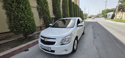 Cobalt 2023 kraska toza