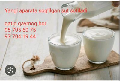 qaymogʻi olinmagan sut sotiladi