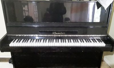 Xolati alo sifatli arzon narxda