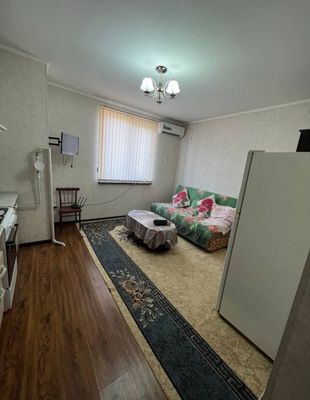 Студия М Горький 350