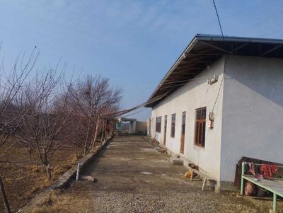 Navoiy viloyati, Navbahor tumanida Dala shiypon binosi sotiladi