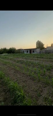 Ер сотилади. Юкори чирчик туманида