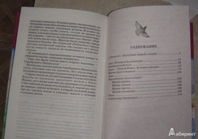 Продам школьную библиотеку - Повести и расссказы