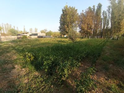 10 sotix yer Toshkent viloyati Yuqori Chirchiq tumani ortasaroyda