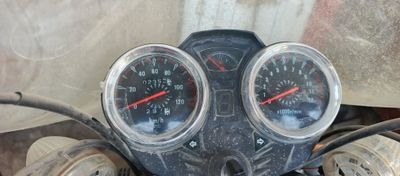 Muravey realmoto