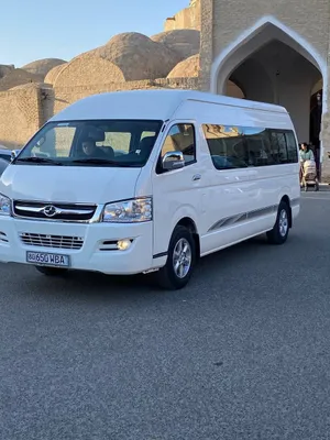 Жойлонг микроавтобус 2024год