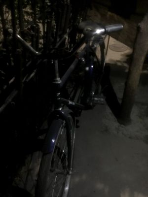 Velik 28 holati yaxshi aybi yoʻq