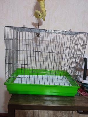 Клетка для попугаев