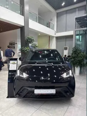 BYD Seagull от официального дилера
