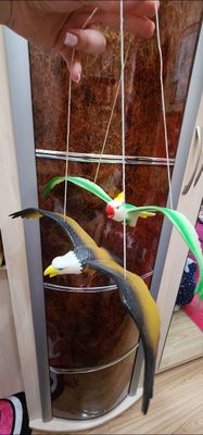 Игрушки птицы состояние отличное