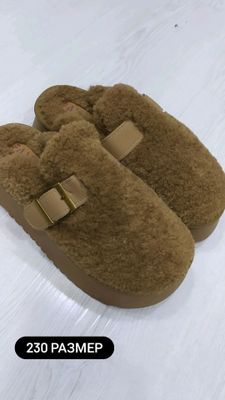 teddy tapochka
