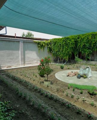 микроклимат соя сетка установка