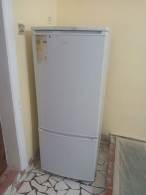 Хлоделник брюса