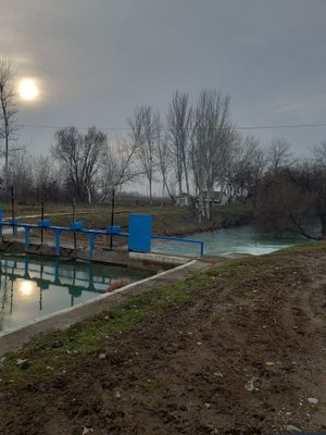 Продаётся ферма 30 гектаров Есть газ своя водобашня электричество .