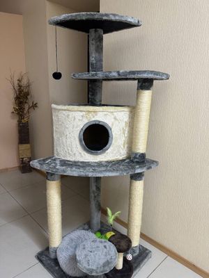 Кошачий домик | Mushik uyi