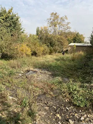 Земельный участок 15 соток Бустанликский район Боймирзаев махалла