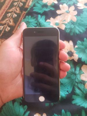 iPhone 7 ideal xolat