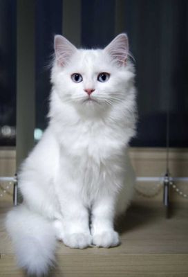 Almashtirib beriladi yoqmasa